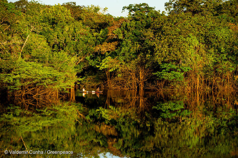 Dichter Wald mit mehreren Bäumen spiegelt sich in ruhigem Wasser, im Hintergrund sind zwei Boote mit Menschen zu sehen. Das ist der Amazonas.