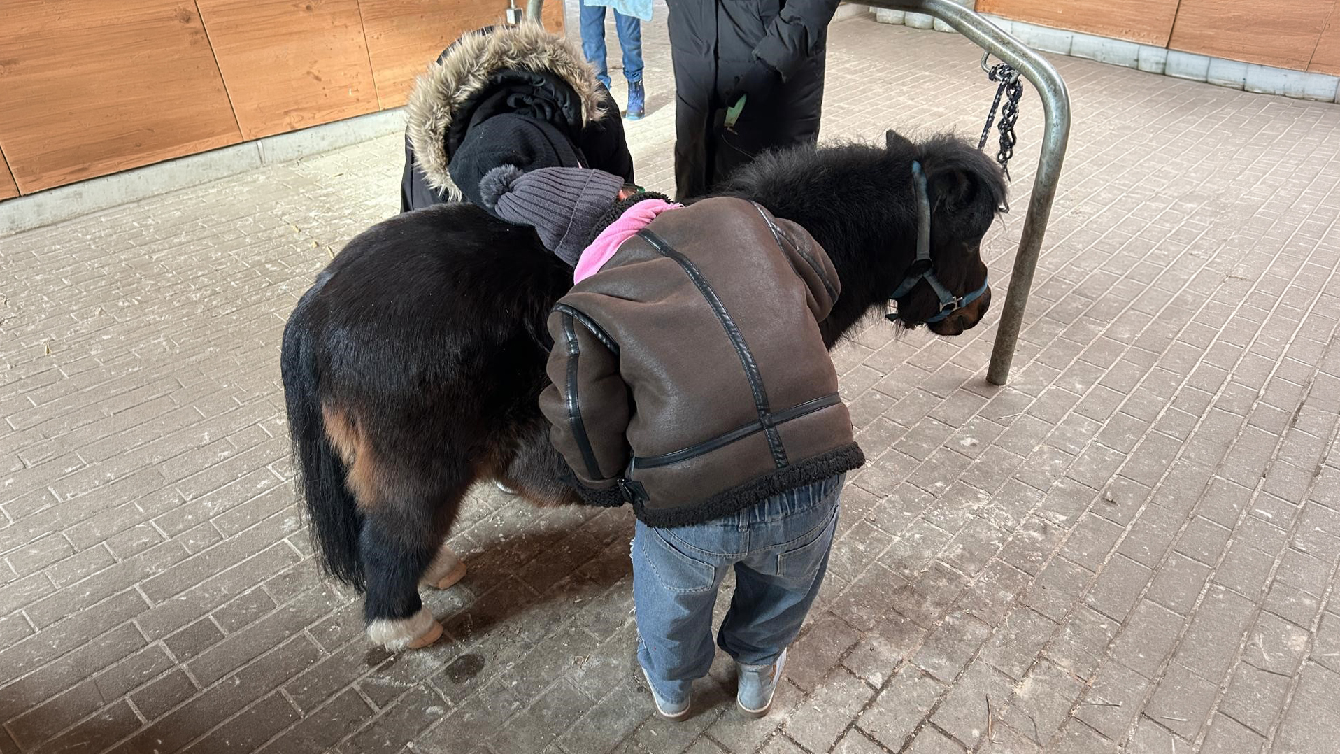 Ein Kind kuschelt mit einem kleinen Pony im Stall.  
