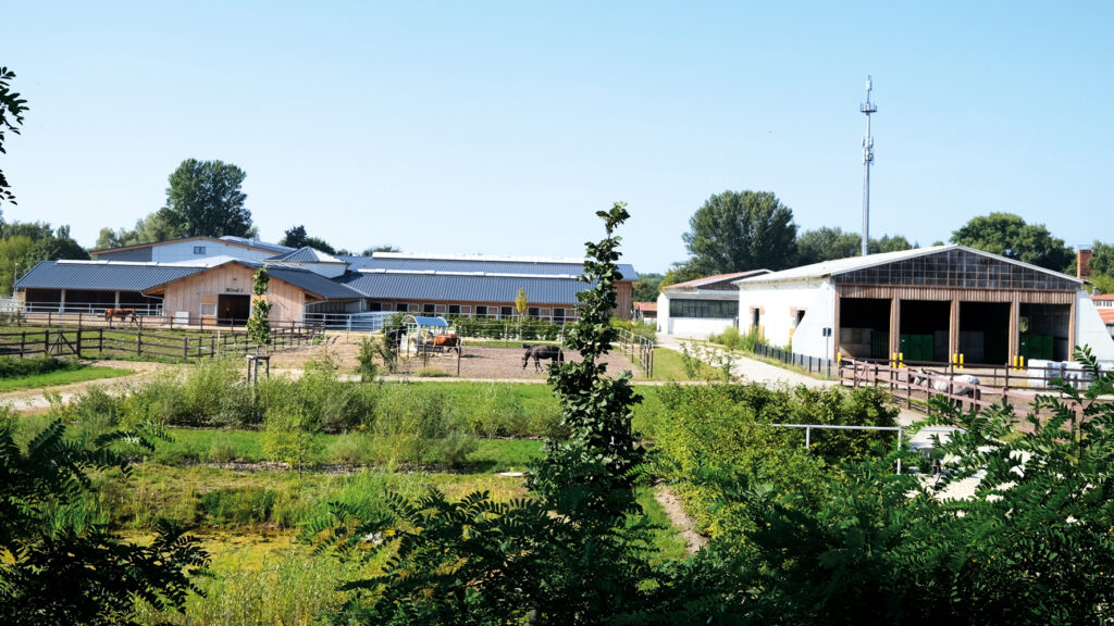 Weitläufige Reitanlage mit mehreren Stallgebäuden, begrünten Außenflächen und umzäunten Pferdegehegen, in denen einige Pferde stehen, unter blauem Himmel.