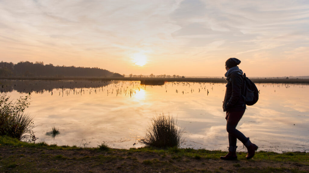 Futurestories Eine Person mit einem Rucksack geht einen Weg entlang eines ruhigen Gewässers bei Sonnenaufgang oder Sonnenuntergang, mit Bäumen und Pflanzen, die sich im Wasser spiegeln, und einem teilweise bewölkten Himmel über dem Wasser, was eine passende Szene für eine Projekt- oder Zukunftskarte ist.